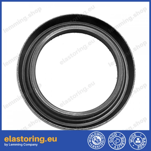 Simmering 40x55x8 B1SLDRW ACM