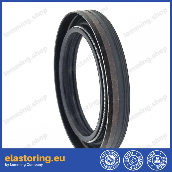 Simmering 40x55x8 B1SLDRW ACM