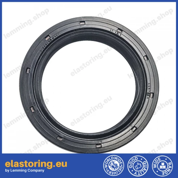 Simmering 40x55x8 B1SLDRW ACM