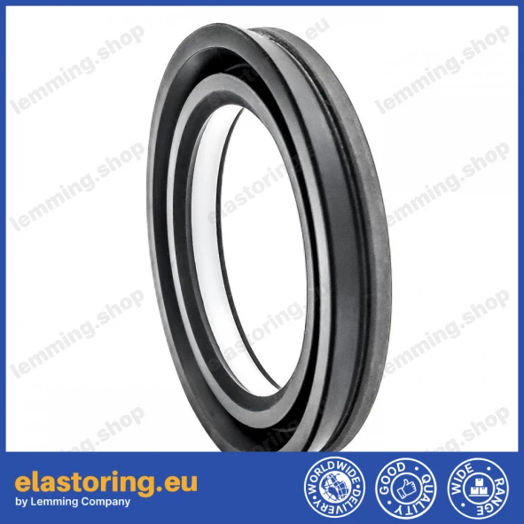 Simmering 44,2x63,55x10 FPM+PTFE 15898