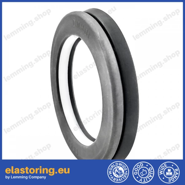 Simmering 44,2x63,55x10 FPM+PTFE 15898