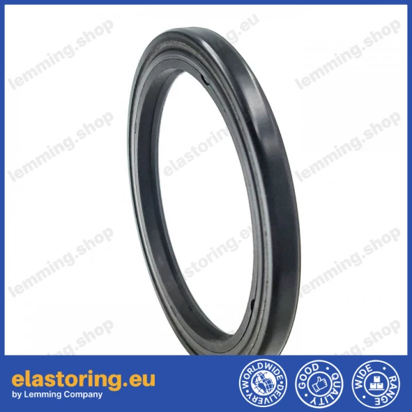 Simmering 52x66x5,5 BASFX2 NEM