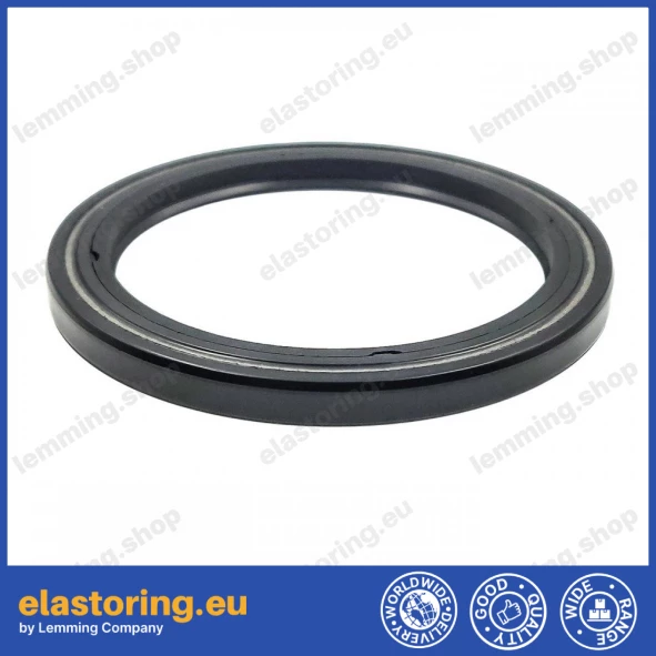 Simmering 52x66x5,5 BASFX2 NEM