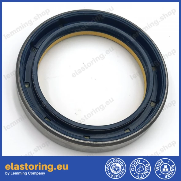 Simmering 60x80x12 COMBI 72NBR