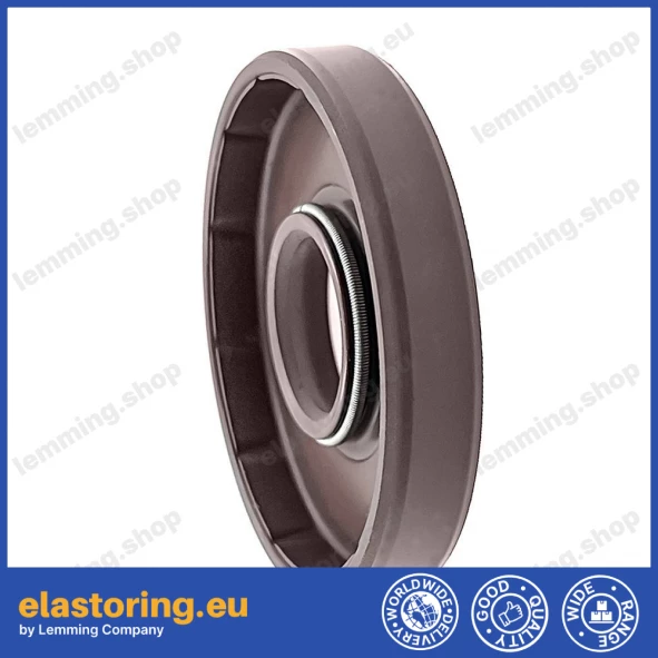 Uszczelnienie wału WDR-F10 15x42x7 FPM Uszczelnienie wału WDR-F10 15x42x7 FPM