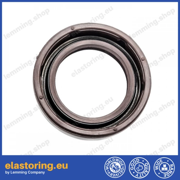 Ciśnieniowy simmering 20x30x7/7,5 BABSLVI FPM