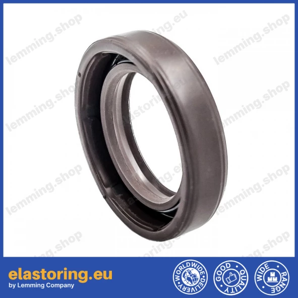 Ciśnieniowy simmering 20x30x7/7,5 BABSLVI FPM