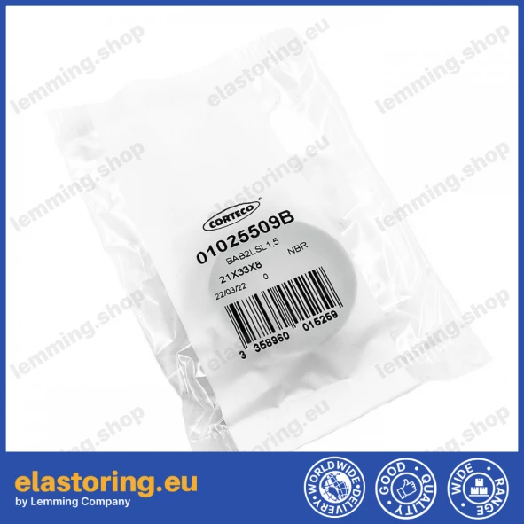 Ciśnieniowy simmering 21x33x8/5,5 BAB2FLSL NBR