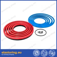 Zestaw uszczelnień do DS18/5 EDBRO -5 sekcje