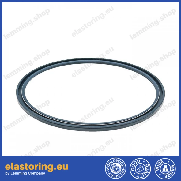 Uszczelnienie wału BABSL TCV 230x255x8/7 NBR