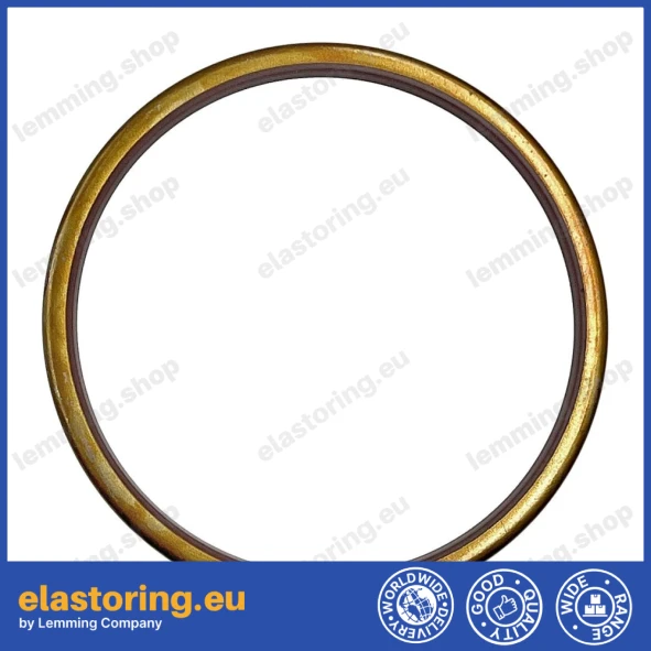 Uszczelnienie wału Bosch Rexroth 55,55x85,65x6 R921177180