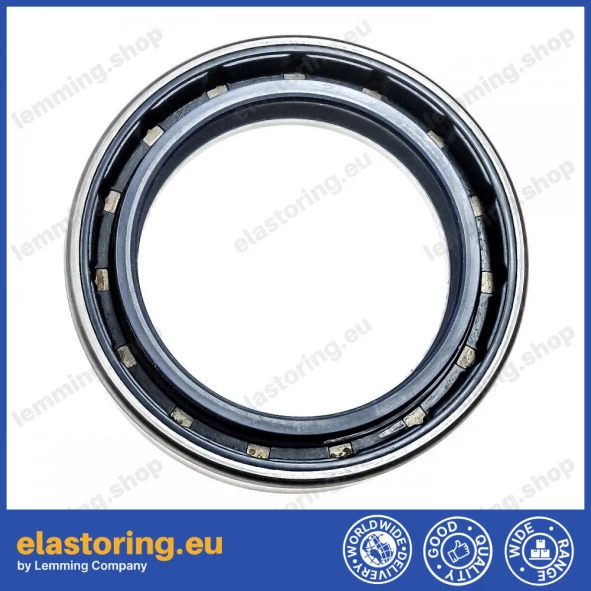 Simmering 47x65x16,5 COMBI NBR