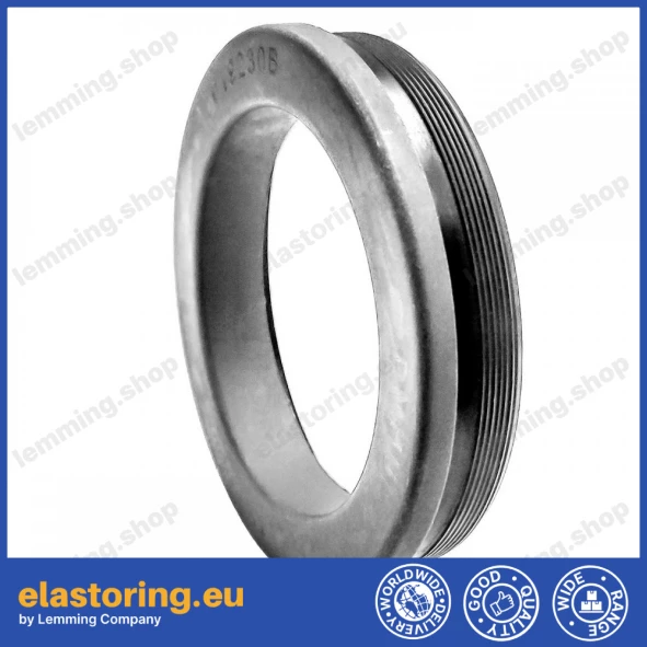 Simmering kasetowy 49x65/68x10/13,8 RWDR-COMBI