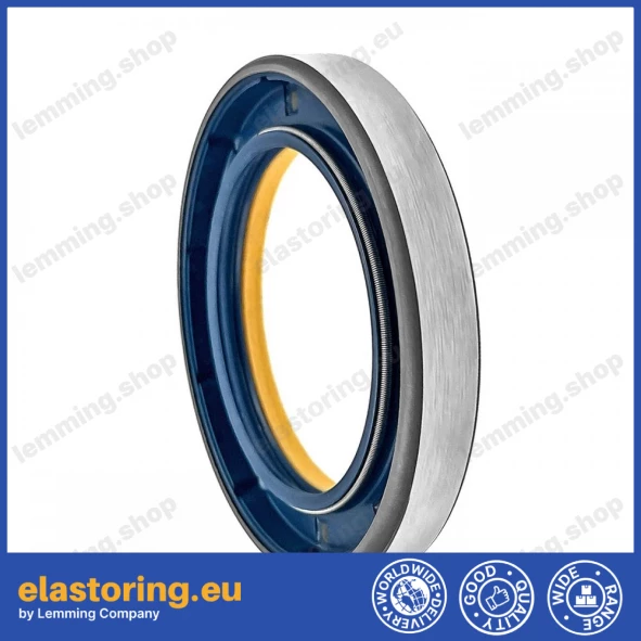 Simmering 55x80x11 COMBI