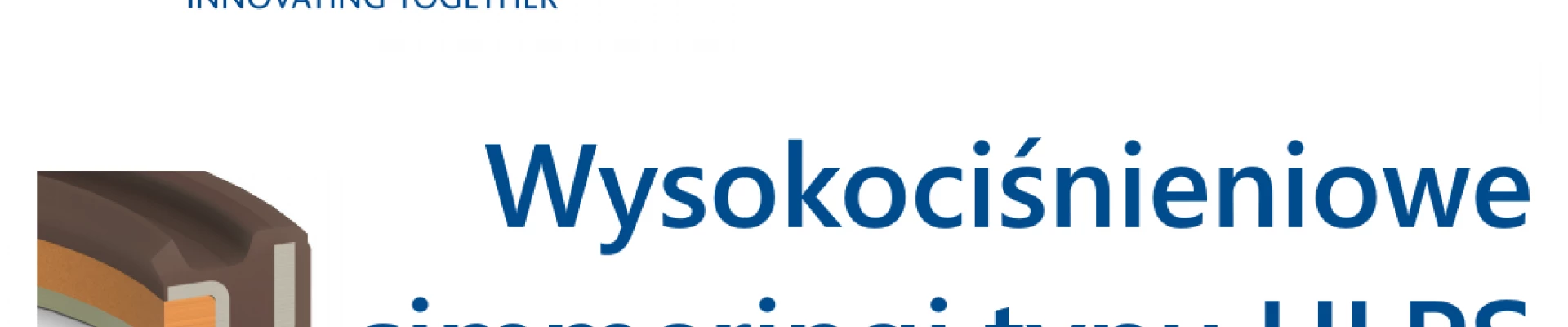 Wysokociśnieniowe simmeringi typu HLPS